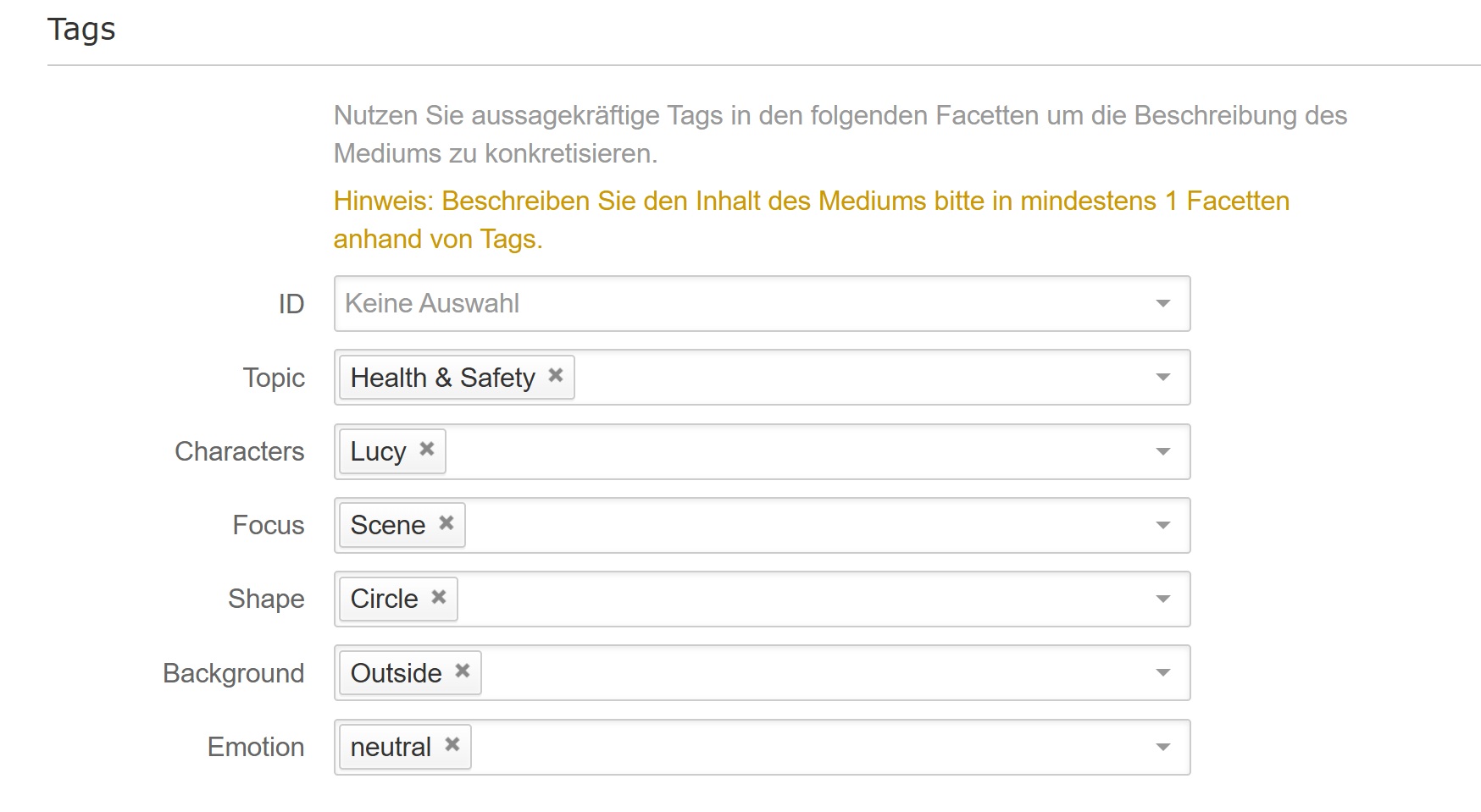 Bereich Tags mit Beispieltags im Medienformular