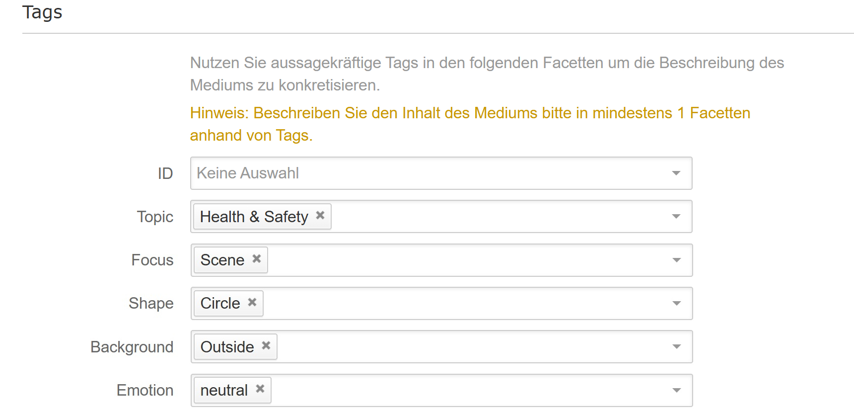 Bereich Tags mit Beispieltags im Medienformular