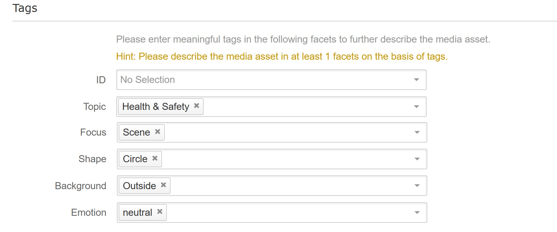 Tags section with sample tags in the Media Form