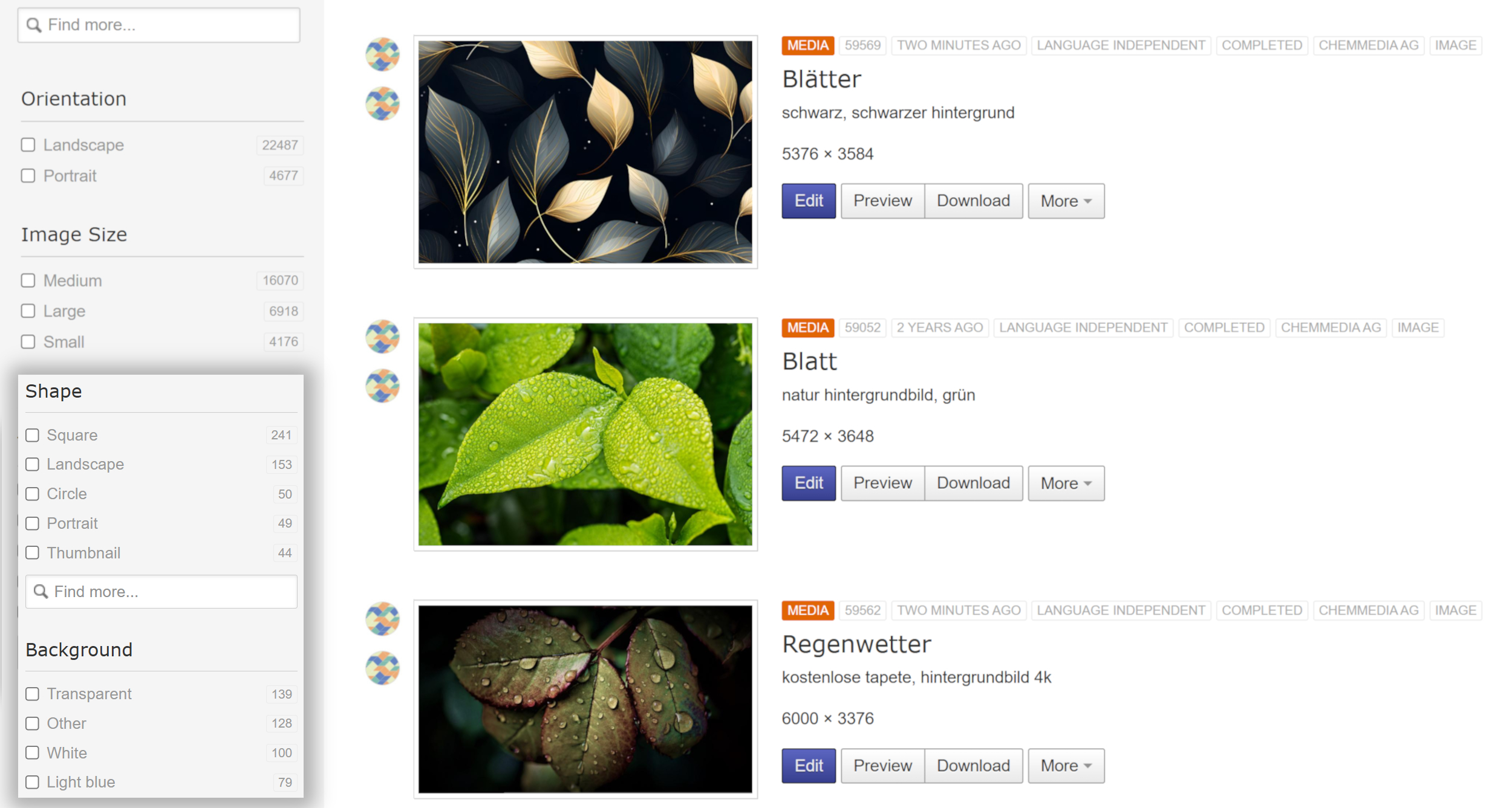 Media search in the media library with Tags filter