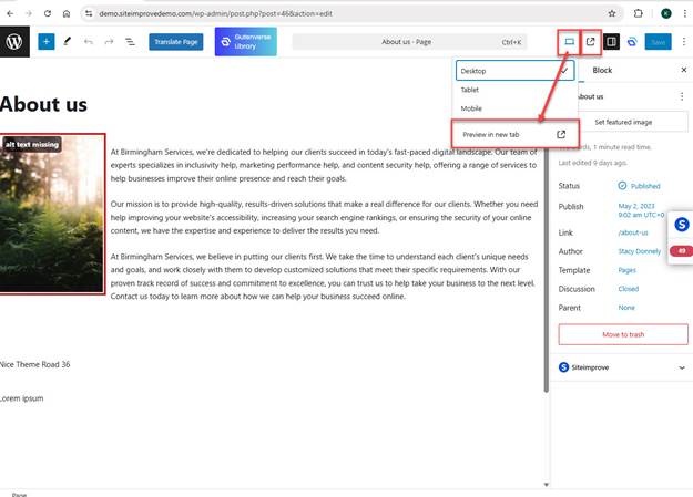 Screenshot of selections for Preview mode in Block Editor in WordPress