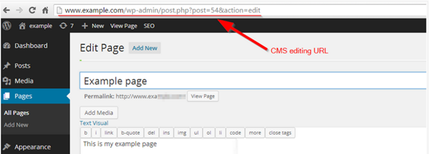 Screenshot showing the previously mentioned URL on the page.