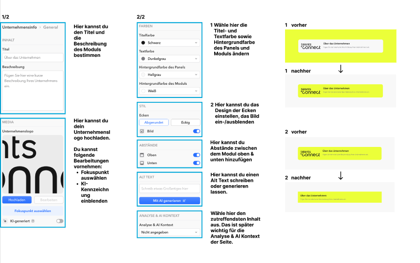 View of the global settings of the Company Info module in the editor