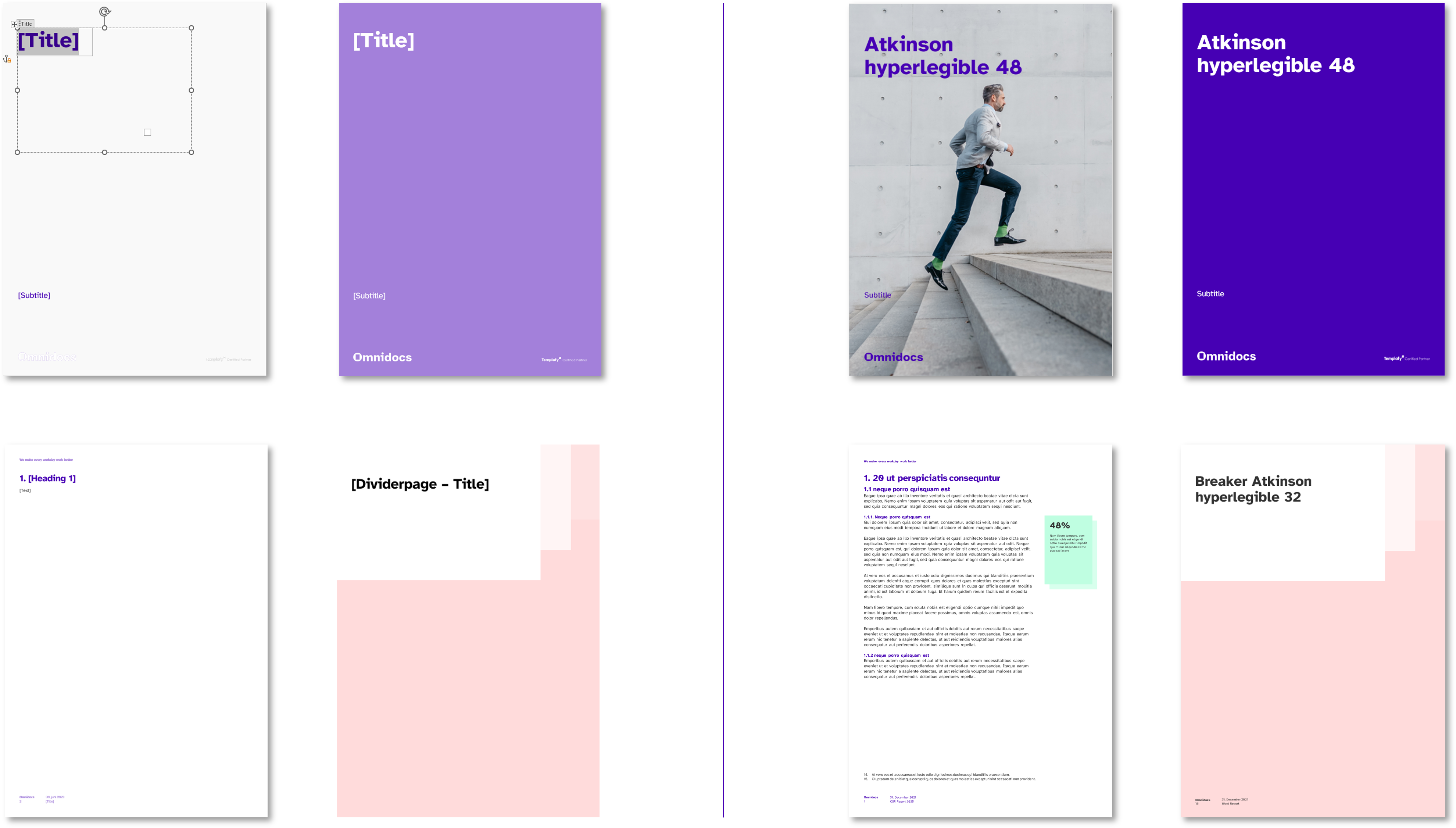 8_Report template vs document (1).png