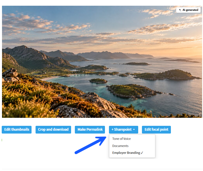 SharePoint action on an asset detail page