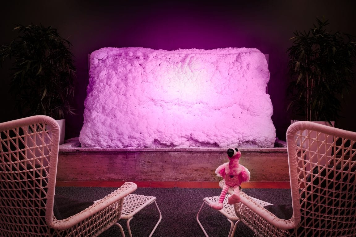 flamingo_spa-8