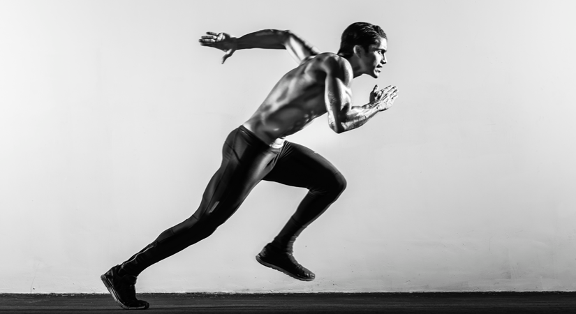 EVO Training System: skillful, purposeful and playful