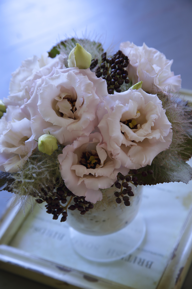 Lisianthus Light Pink