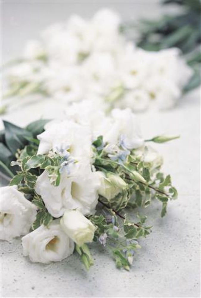 Dream 1 White