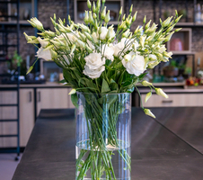 Lisianthus grandiflorum Arena - 3 Giant White