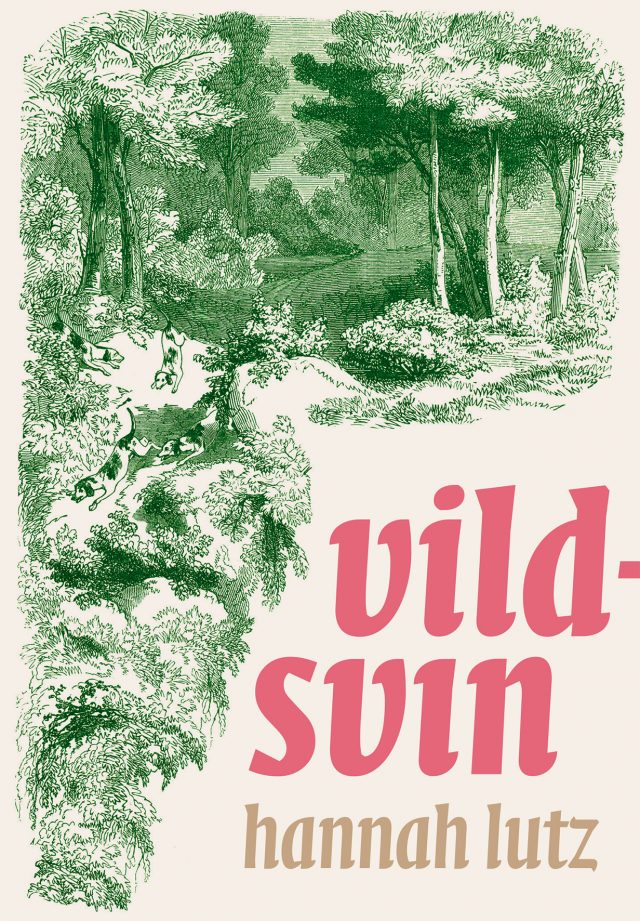 vildsvin vildsvin