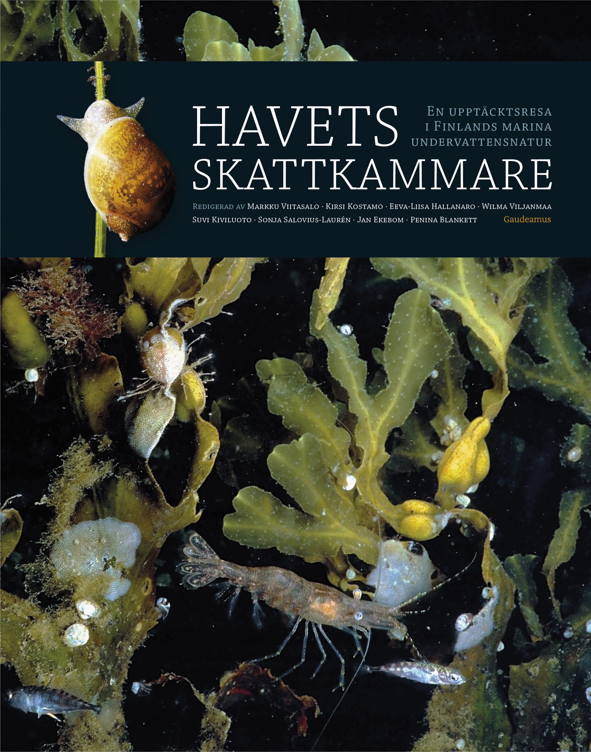 Havets_skattkammare_pärm_rgb Markku Viitasalo m.fl.: Havets skattkammare – En upptäcktsresa i Finlands marina undervattensnatur