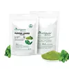 Pudina Leaves Powder 100gm