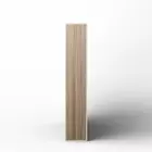 Ariella Erik Schieberegale