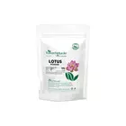 Lotus Powder 100gm