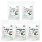 Kerala Naturals Jackfruit Seed Powder 500 gram Paket med 5
