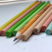 Plantable Pencils - Custom Corporate Gifts