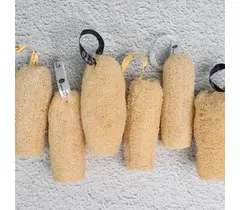 Esponja exfoliante corporal natural orgánica (paquete de 6)