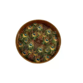 Rundes, mehrfarbiges Serviertablett aus MDF mit Pfauenfeder-Aufdruck