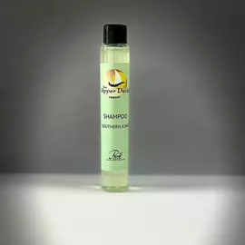 Shampooing au kiwi