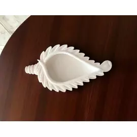 Bandeja de pétalos de mármol Kavach - 30 cm, forma de concha blanca