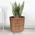 Orange and brown color jute basket and planter