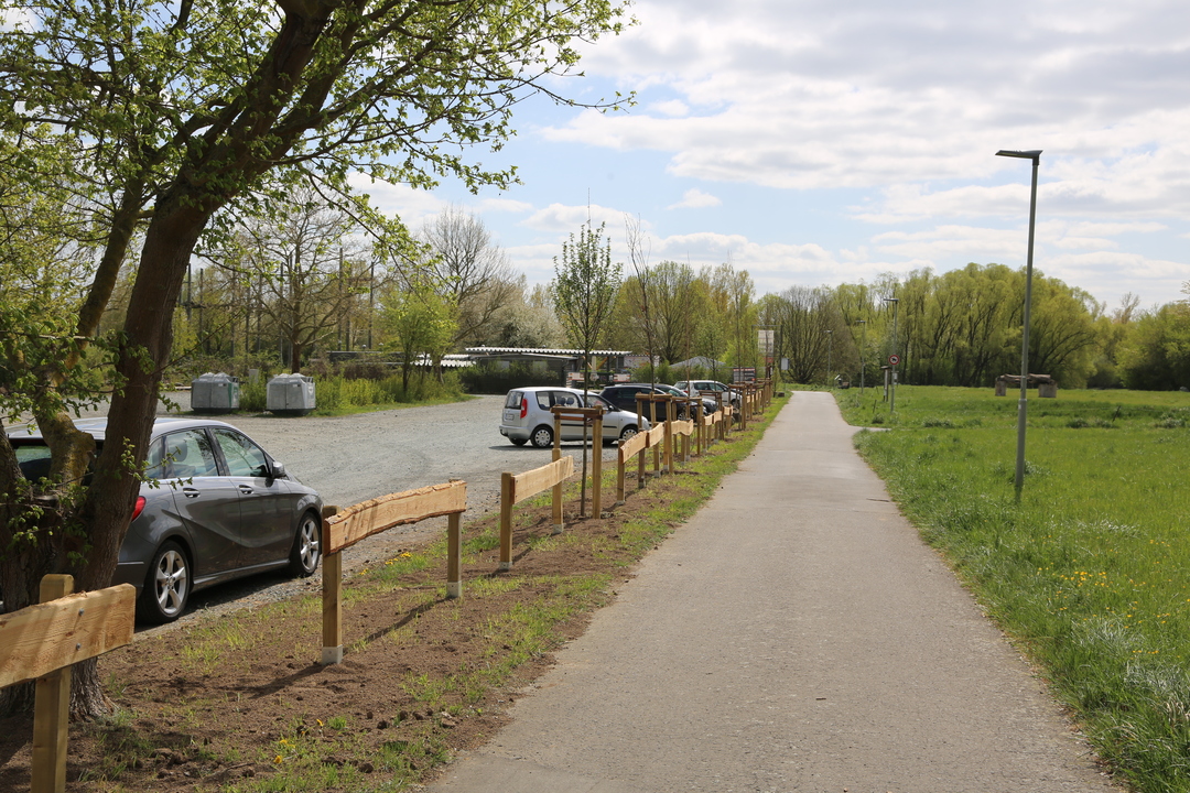 Neuanpflanzungen Am W lfersheimer See W lfersheim neuanpflanzungen-am-w-lfersheimer-see-w-lfersheim