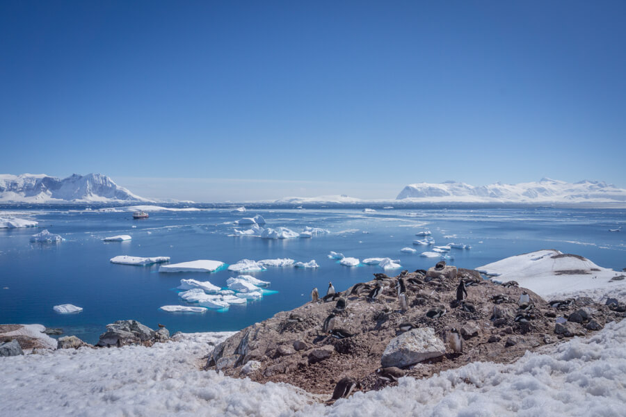 Pinguine auf einer antarktischen Insel; im Hintergrund Wasser, Eisschollen und ein Schiff.