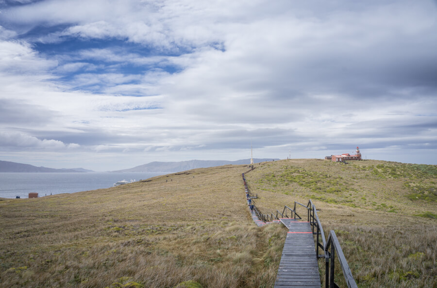 Wiesenlandschaft bei Kap Hoorn in Chile - "Tor zur Antarktis".