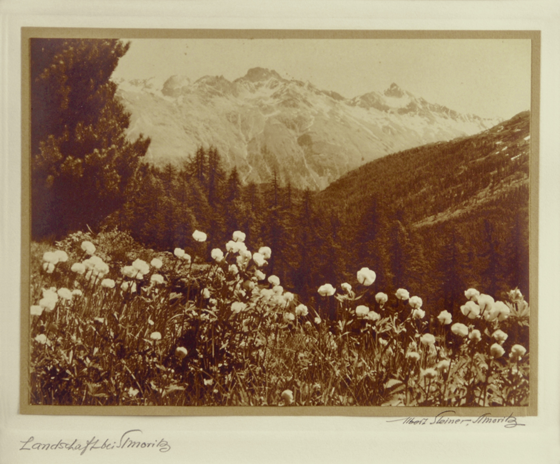 Steiner Albert, Landschaft bei St. Moritz