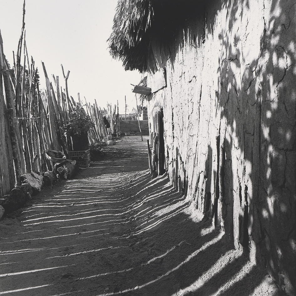 Lucana (Ana Lucia Pérez Tobón), Callejon Casa, from "Series Tolu"