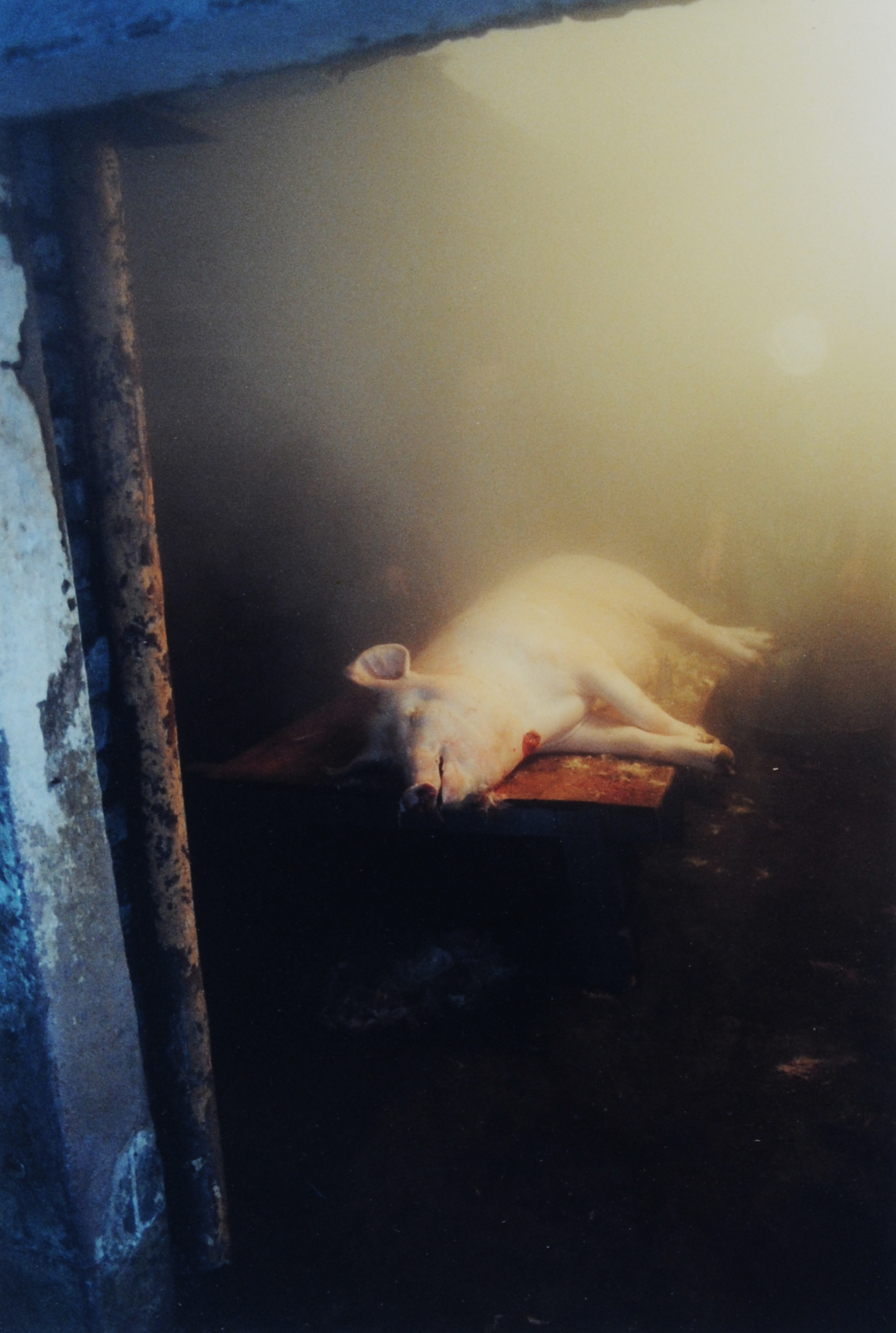 Hanzlová Jitka, 4 photographs: Untitled, 1999; Untitled, 1999; Untitled 1991; Untitled, 1992