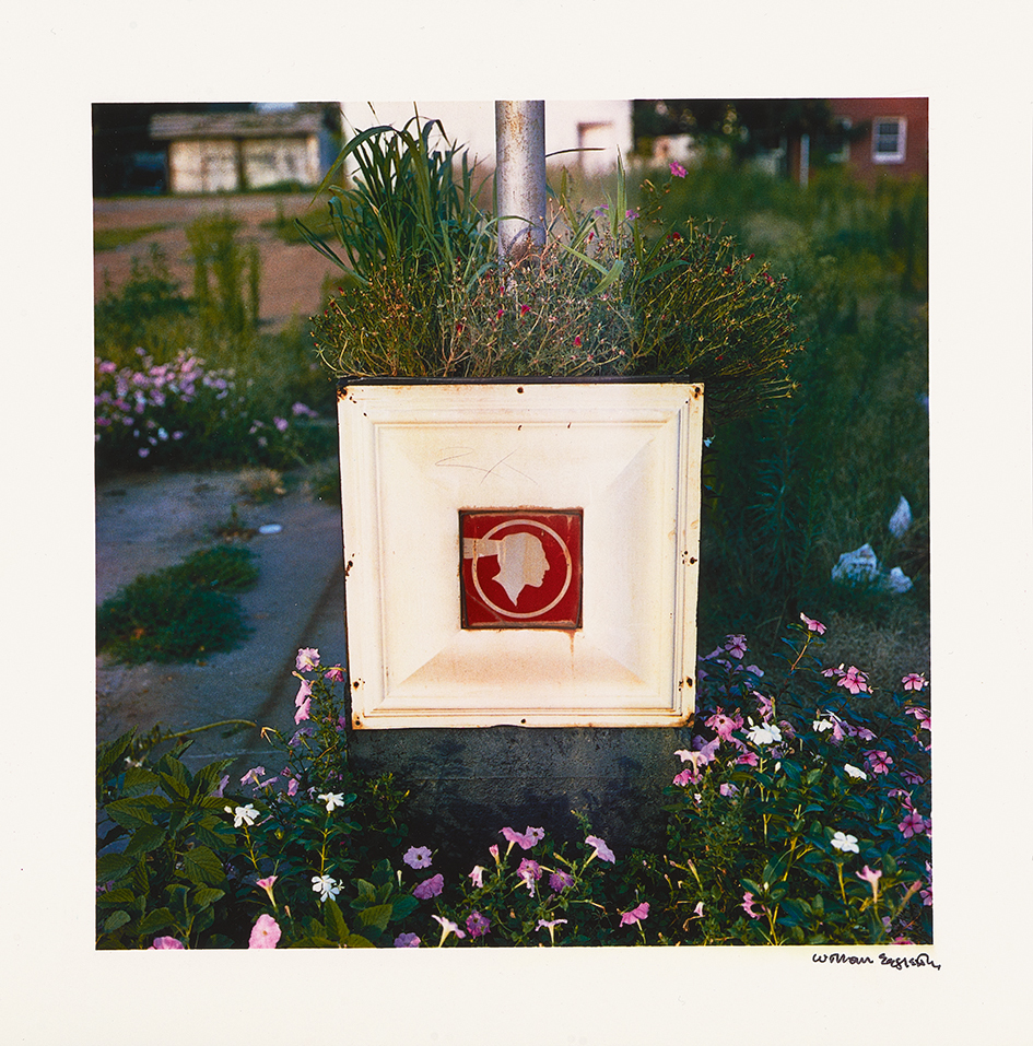 Eggleston William, Book. 2 1/4