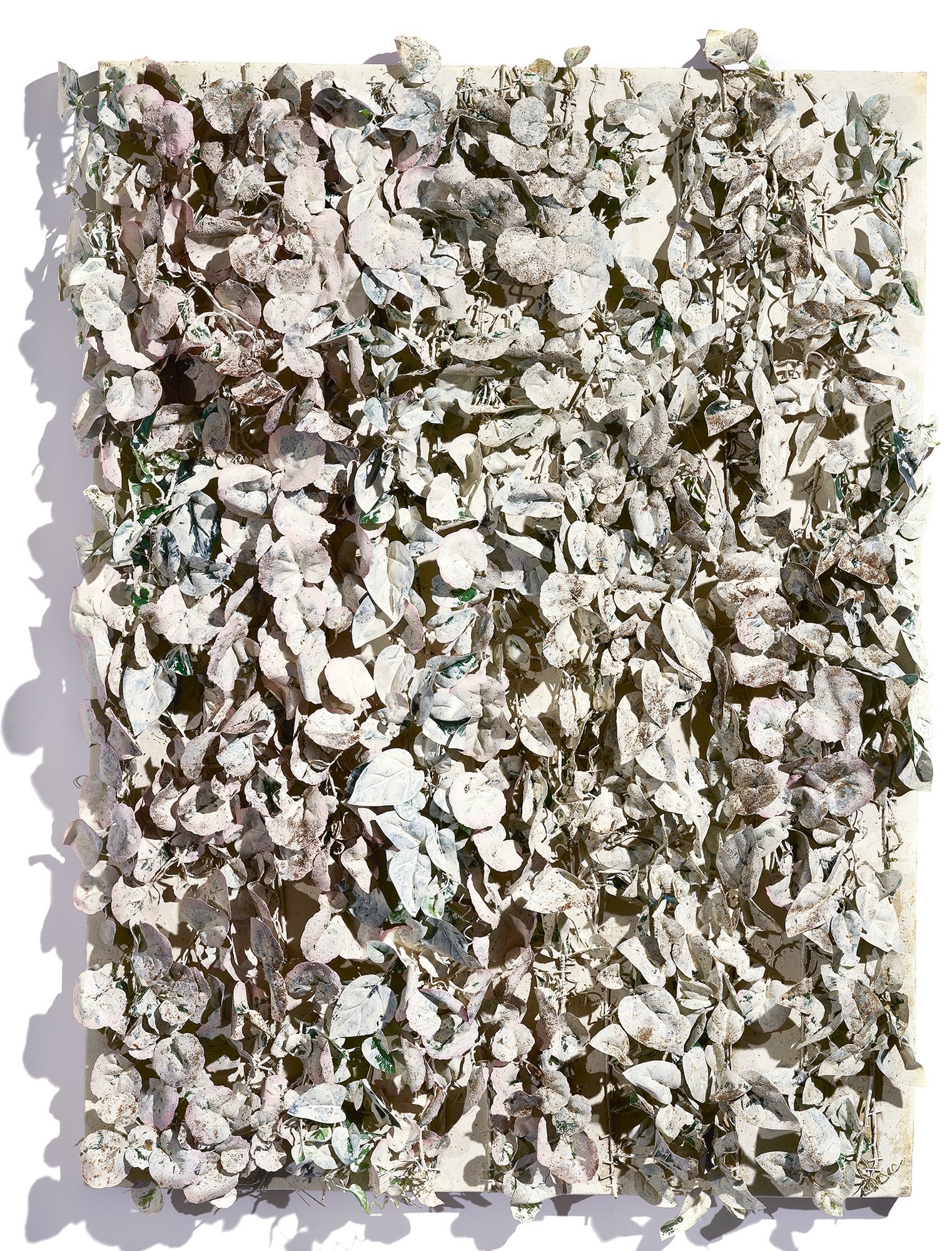 Carroll Lawrence, Untitled
