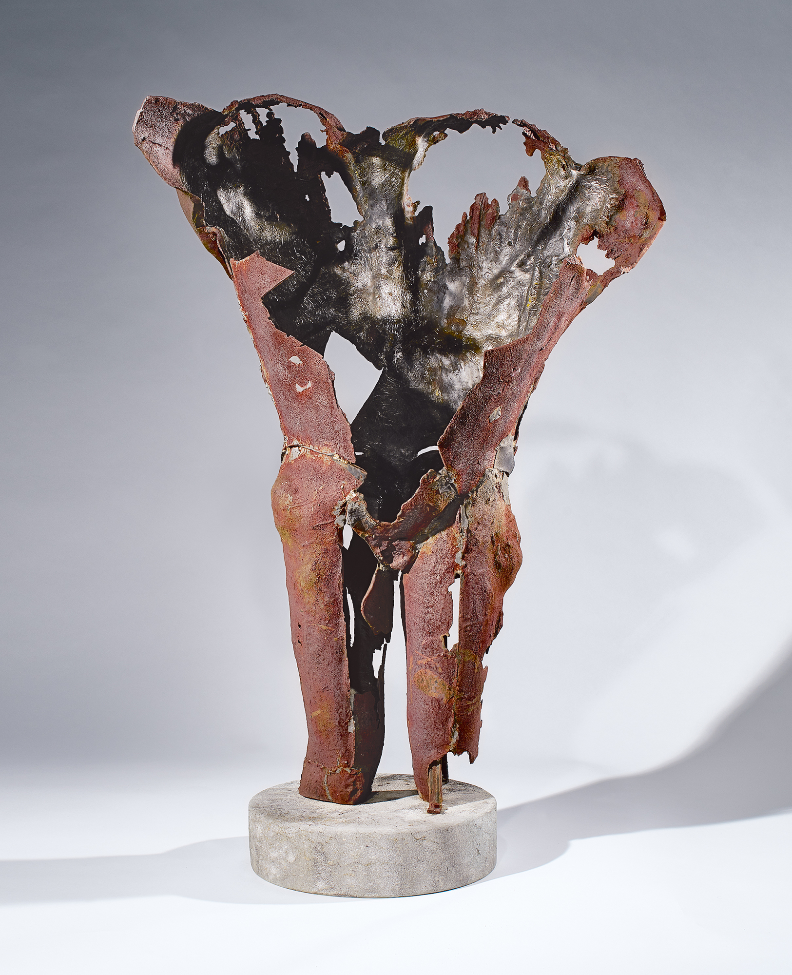 Plensa Jaume, Home vegetal