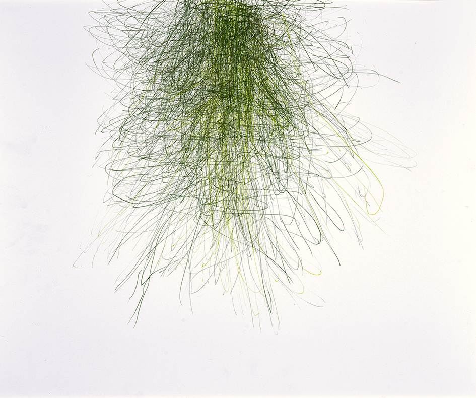 Hauser Susanne, Untitled, from "Das Gras wachsen hören"