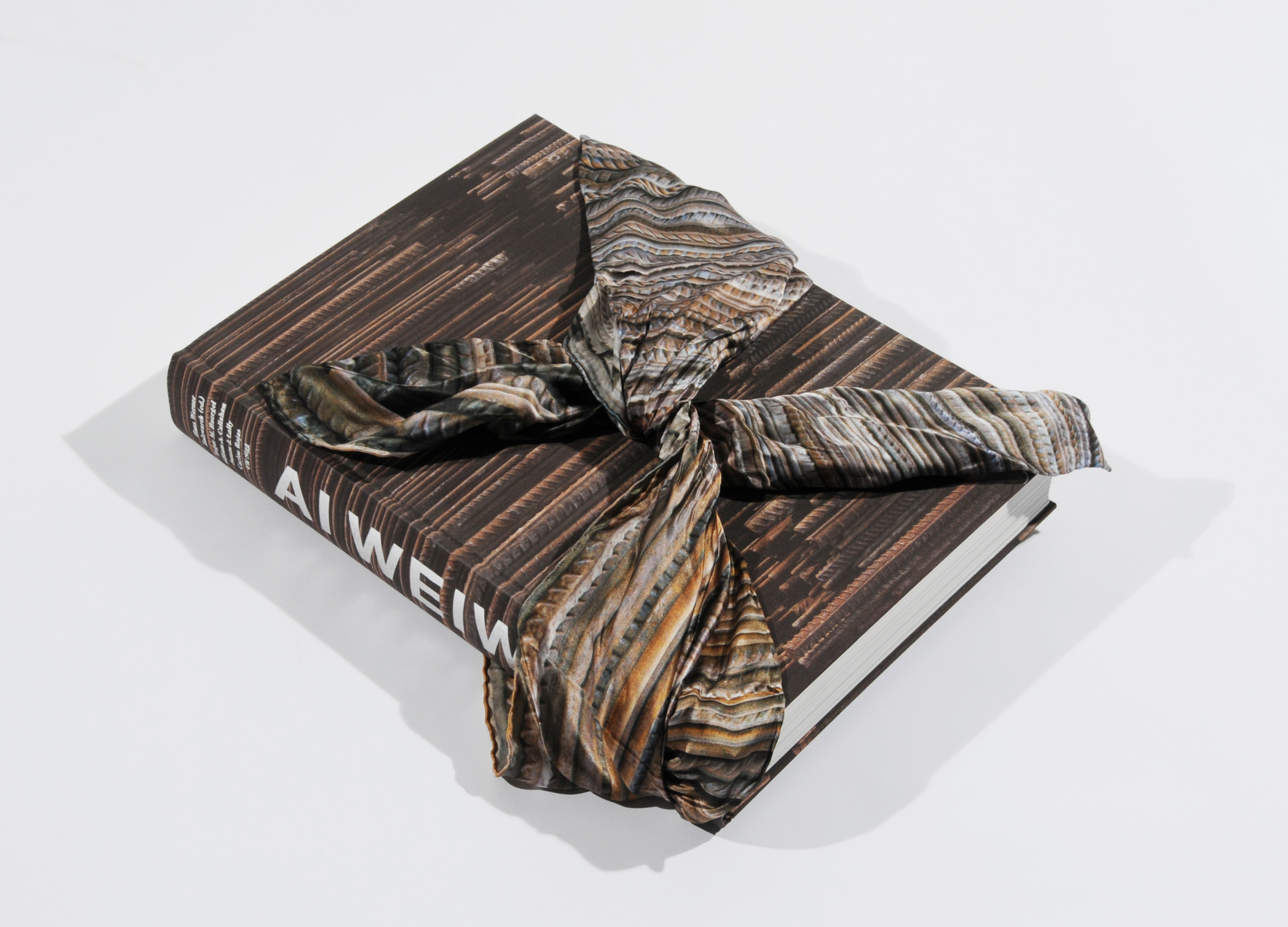 Weiwei Ai, Book. Hans Werner Holzwarth. Ai Weiwei, Monograph