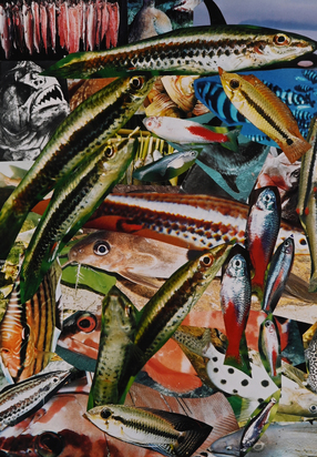 Diptych: Aquarium I, Aquarium II