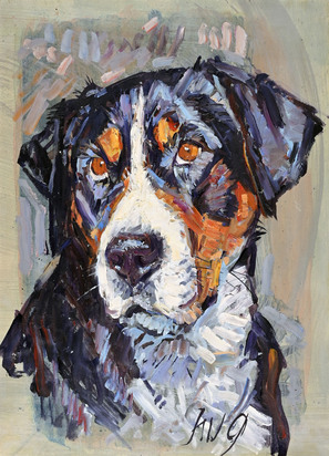 Dog portrait