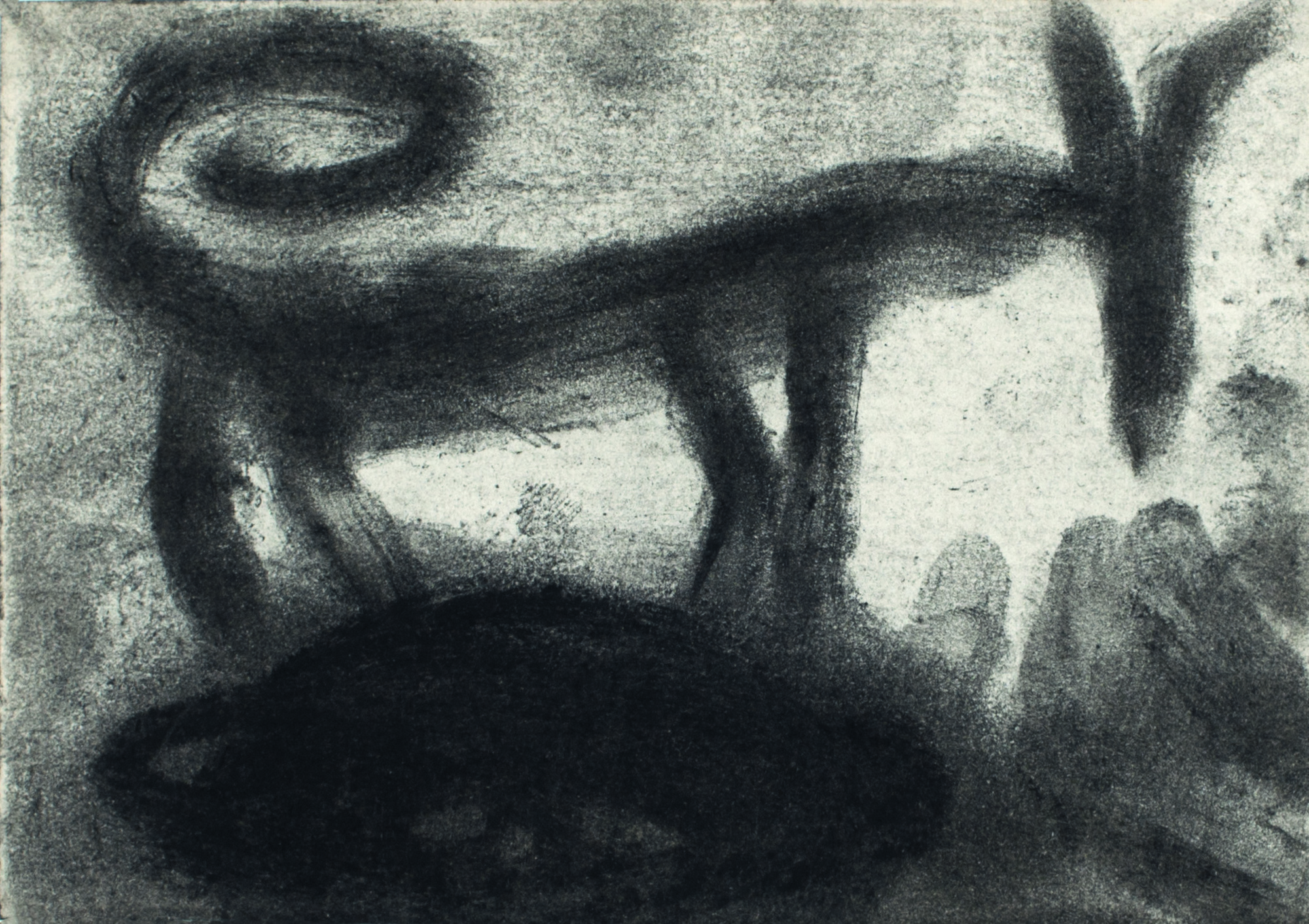 Miriam Cahn, Series of 24 drawings in portfolio
