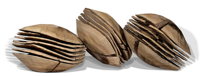 Three Clams