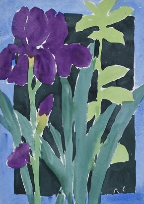 Iris