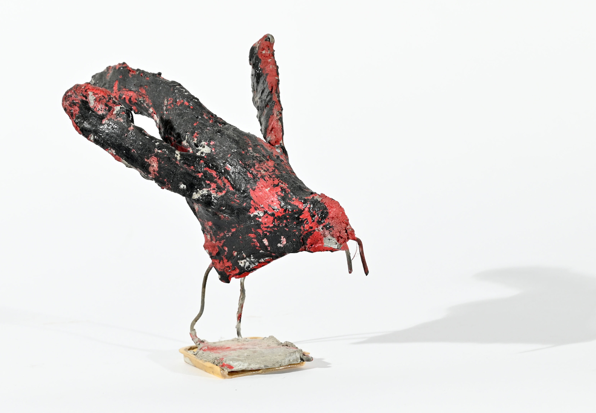 Ulrich Bleiker, Vogel