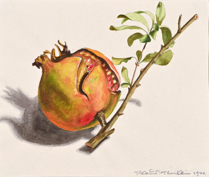 Pomegranate