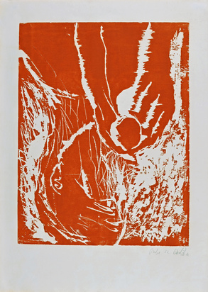 Orangenesser/Profilkopf