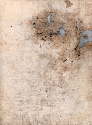 Mould picture