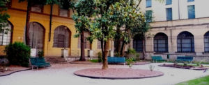 Ex Museo Stradivariano