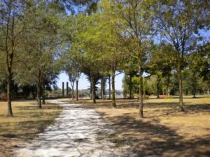 Parco al Po