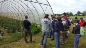 Agricoltura Sociale