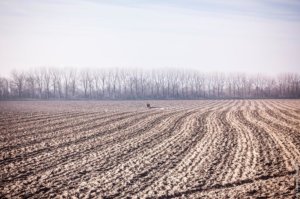Distretto Agricolo Solidale Cremonese